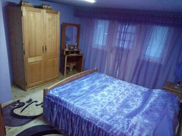 Фото номера Двухместный номер с 1 кроватью Гостевой дом Pensiunea Daiana г. Альбац 25