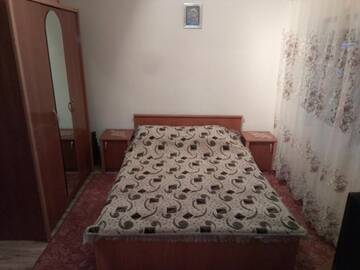 Фото номера Двухместный номер с 1 кроватью Гостевой дом Pensiunea Daiana г. Альбац 27